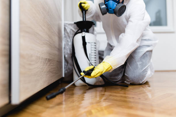 Best Best Pest Control Companies  in Morris, IL