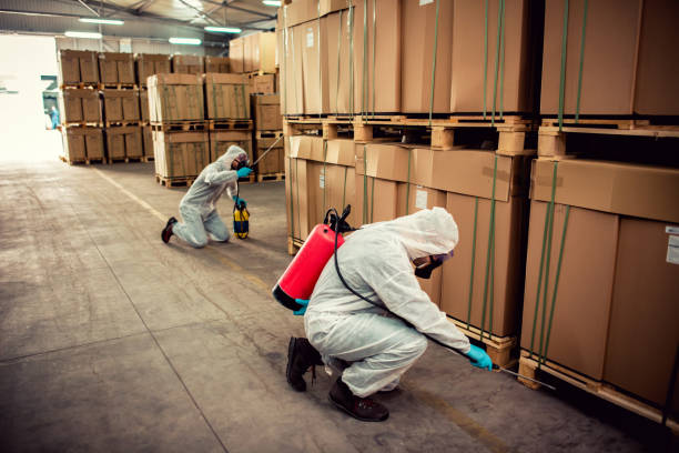 Best Flea Control Services  in Morris, IL