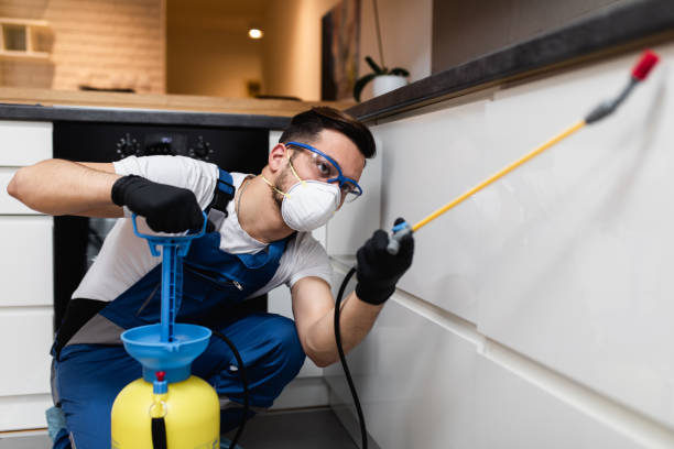 Best Wasp Removal Services  in Morris, IL