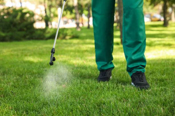 Best Pest Control for Homes  in Morris, IL
