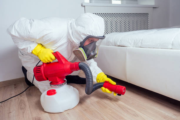 Best Best Pest Control Companies  in Morris, IL