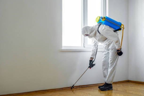 Best Pest Removal Services  in Morris, IL