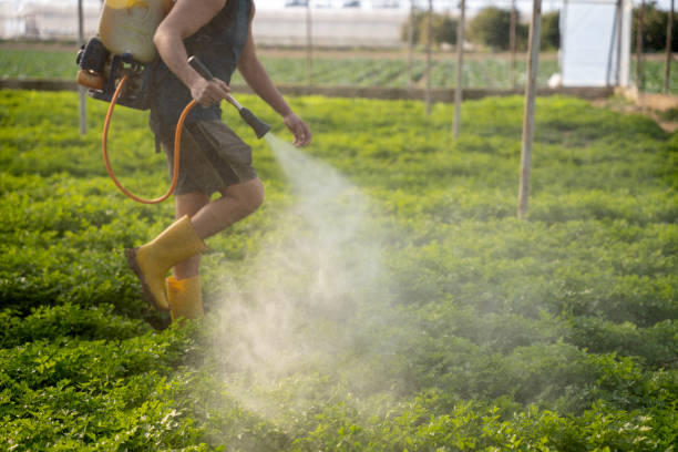 Best Pest Inspection Near Me  in Morris, IL