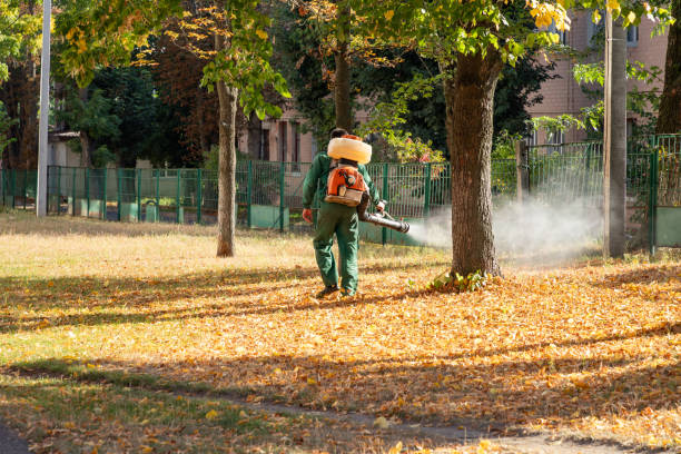 Best Local Pest Control Services  in Morris, IL