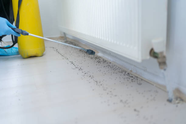 Best Pest Control Cost  in Morris, IL