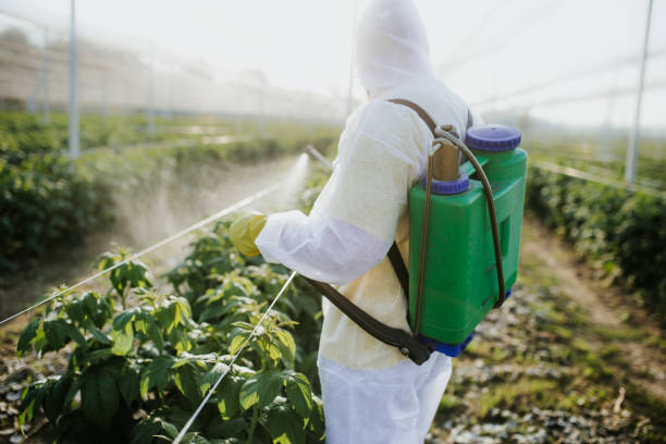 Best Pest Control for Restaurants  in Morris, IL